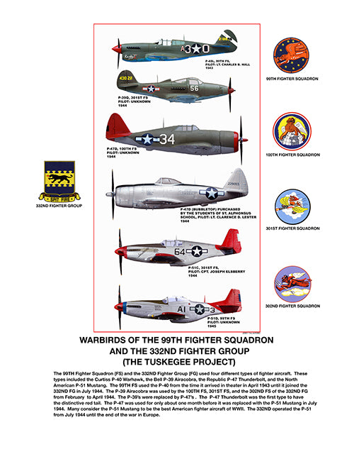 Warbirds Of the 99th Fighter Squadron and The 332nd FighterbGroup (TuskegeevAirmen)